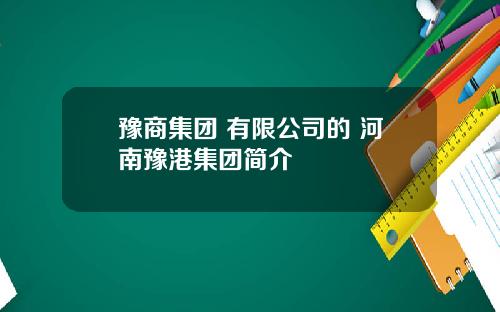 豫商集团 有限公司的 河南豫港集团简介