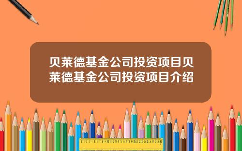 贝莱德基金公司投资项目贝莱德基金公司投资项目介绍