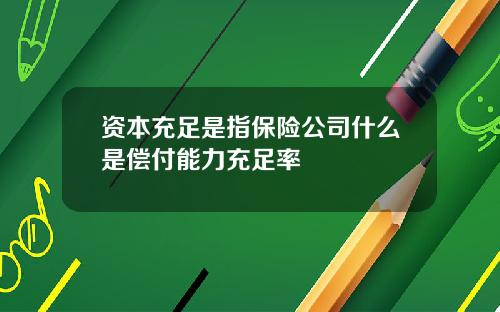 资本充足是指保险公司什么是偿付能力充足率