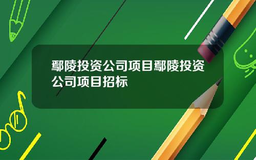 鄢陵投资公司项目鄢陵投资公司项目招标