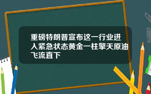 重磅特朗普宣布这一行业进入紧急状态黄金一柱擎天原油飞流直下