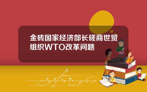 金砖国家经济部长磋商世贸组织WTO改革问题