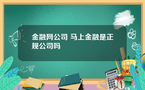 金融网公司 马上金融是正规公司吗