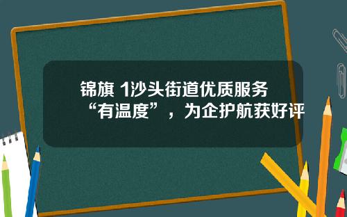 锦旗+1沙头街道优质服务“有温度”，为企护航获好评