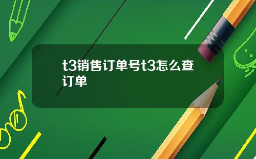 t3销售订单号t3怎么查订单