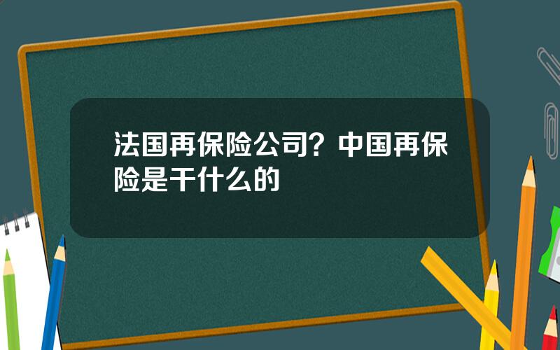 法国再保险公司？中国再保险是干什么的