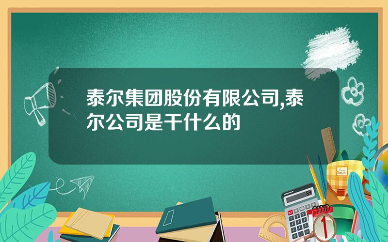泰尔集团股份有限公司,泰尔公司是干什么的