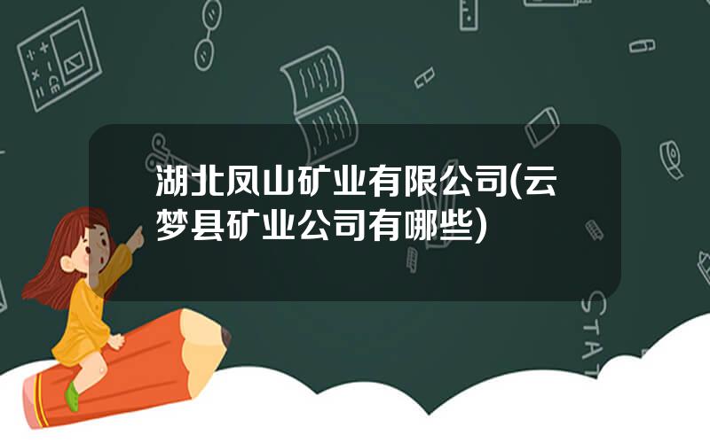 湖北凤山矿业有限公司(云梦县矿业公司有哪些)