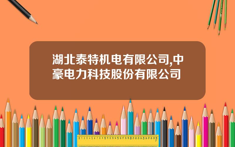 湖北泰特机电有限公司,中豪电力科技股份有限公司