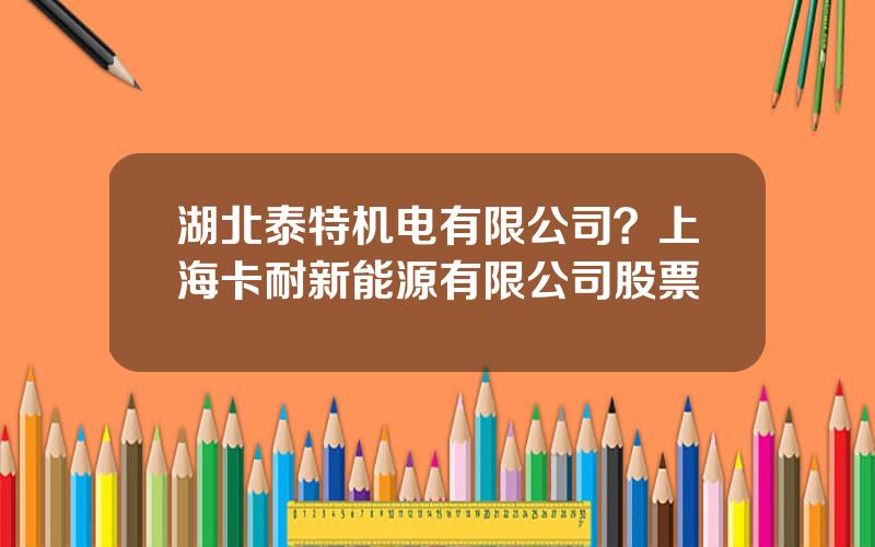 湖北泰特机电有限公司？上海卡耐新能源有限公司股票