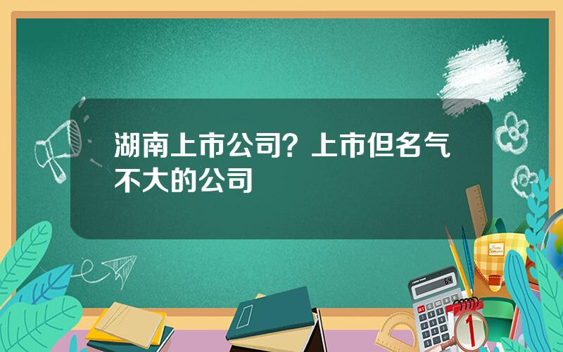 湖南上市公司？上市但名气不大的公司