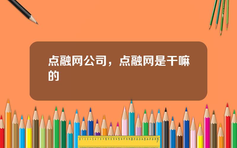 点融网公司，点融网是干嘛的