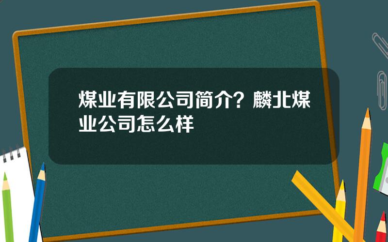 煤业有限公司简介？麟北煤业公司怎么样