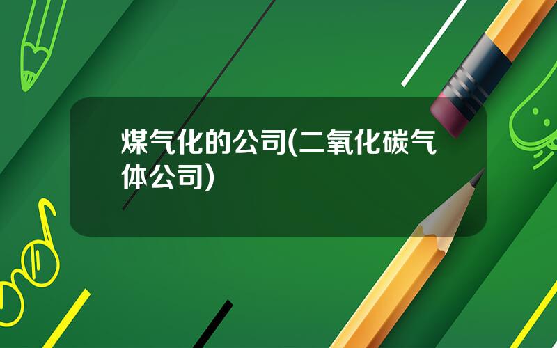 煤气化的公司(二氧化碳气体公司)