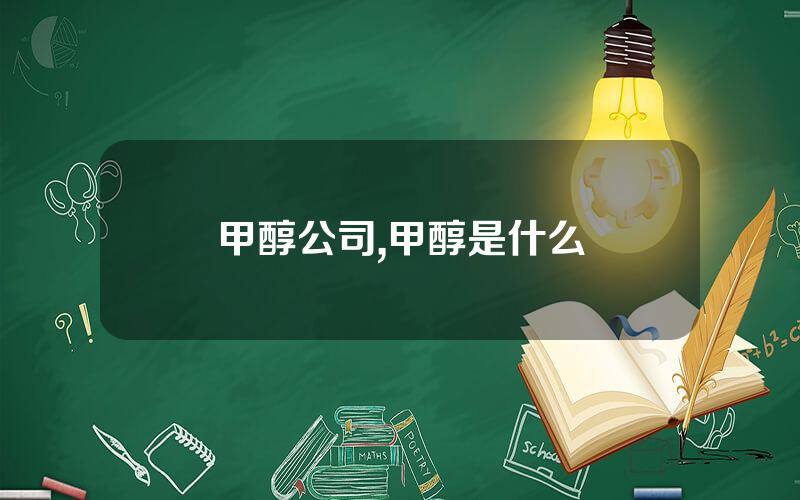 甲醇公司,甲醇是什么
