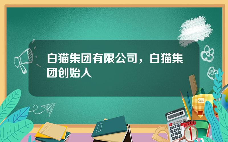 白猫集团有限公司，白猫集团创始人