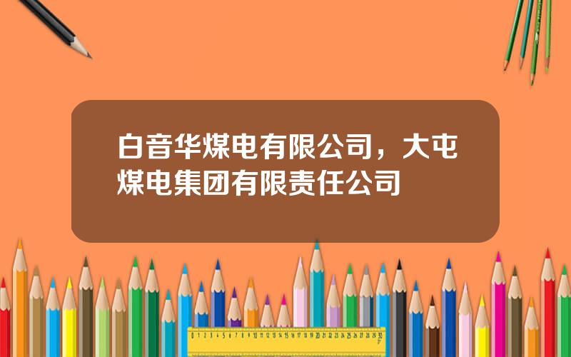 白音华煤电有限公司，大屯煤电集团有限责任公司
