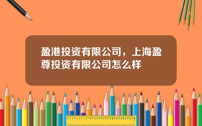 盈港投资有限公司，上海盈尊投资有限公司怎么样