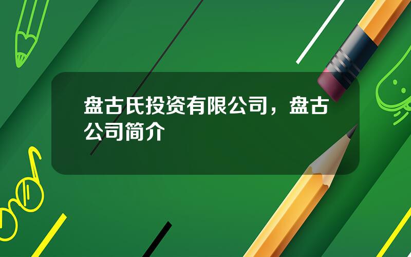 盘古氏投资有限公司，盘古公司简介