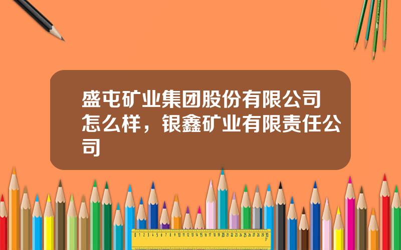 盛屯矿业集团股份有限公司怎么样，银鑫矿业有限责任公司
