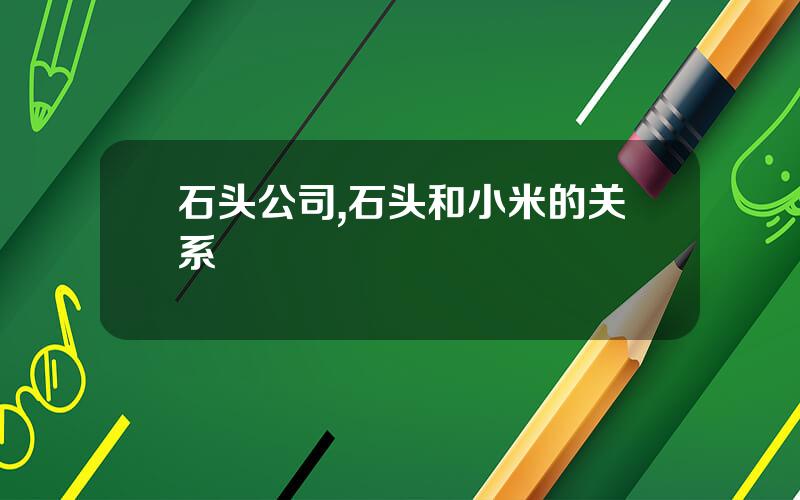 石头公司,石头和小米的关系