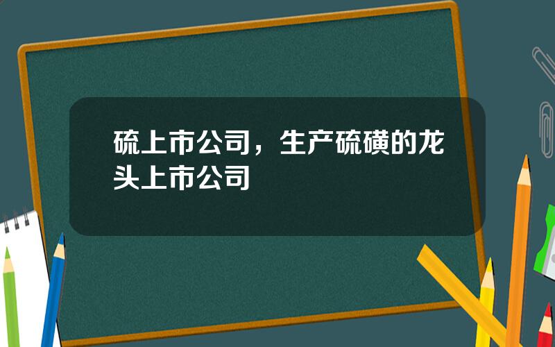 硫上市公司，生产硫磺的龙头上市公司