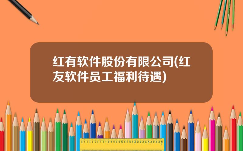 红有软件股份有限公司(红友软件员工福利待遇)