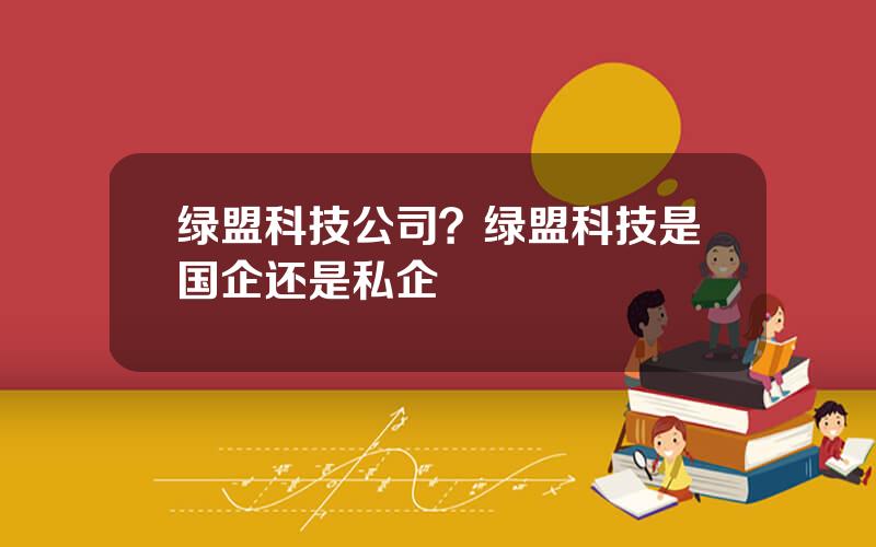 绿盟科技公司？绿盟科技是国企还是私企