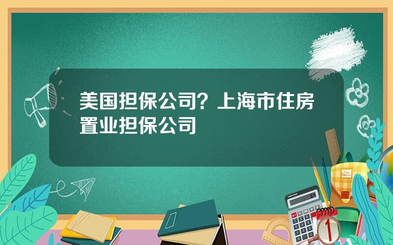 美国担保公司？上海市住房置业担保公司