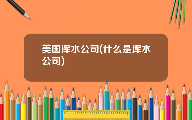 美国浑水公司(什么是浑水公司)