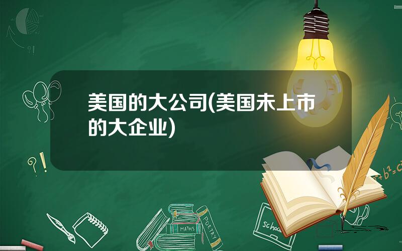 美国的大公司(美国未上市的大企业)