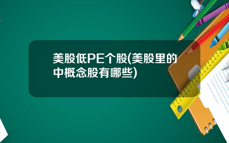 美股低PE个股(美股里的中概念股有哪些)