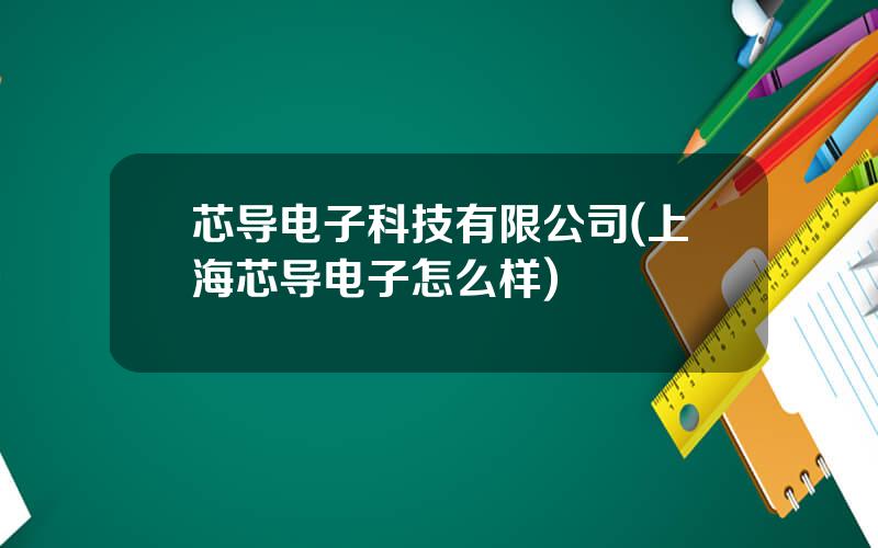 芯导电子科技有限公司(上海芯导电子怎么样)