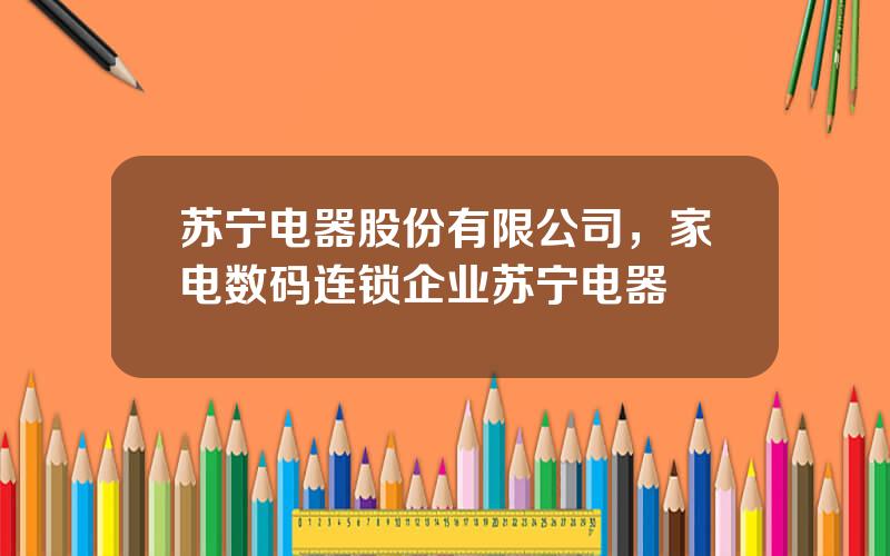 苏宁电器股份有限公司，家电数码连锁企业苏宁电器