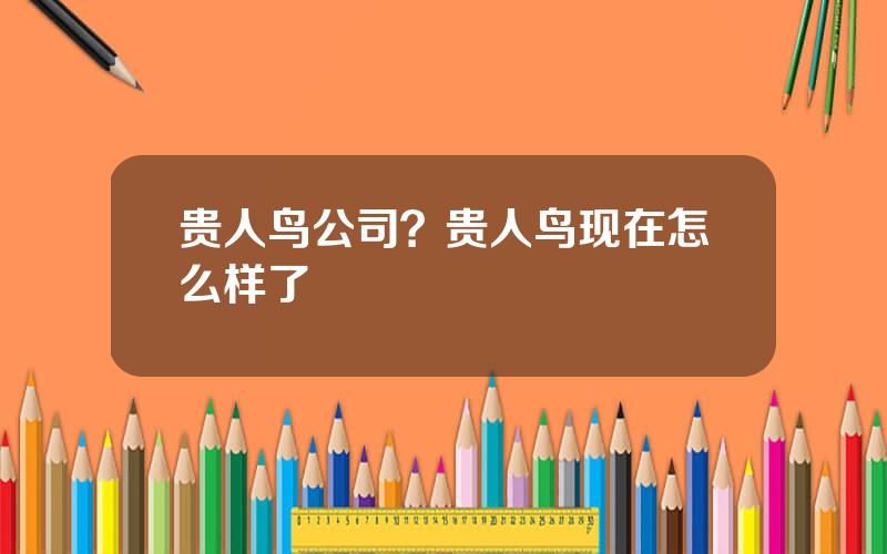 贵人鸟公司？贵人鸟现在怎么样了