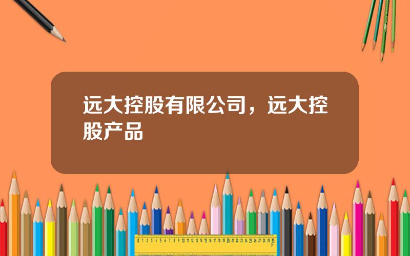 远大控股有限公司，远大控股产品
