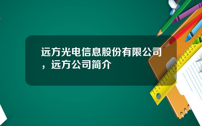 远方光电信息股份有限公司，远方公司简介