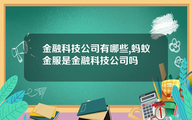 金融科技公司有哪些,蚂蚁金服是金融科技公司吗