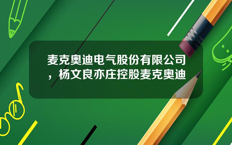 麦克奥迪电气股份有限公司，杨文良亦庄控股麦克奥迪